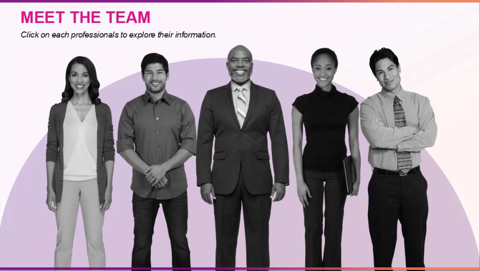 Meet The Team